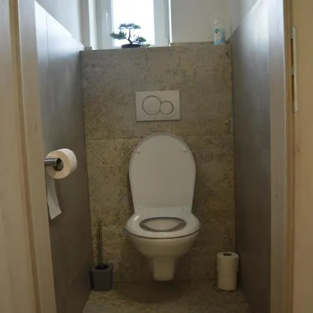 Olšovská Apartamento *