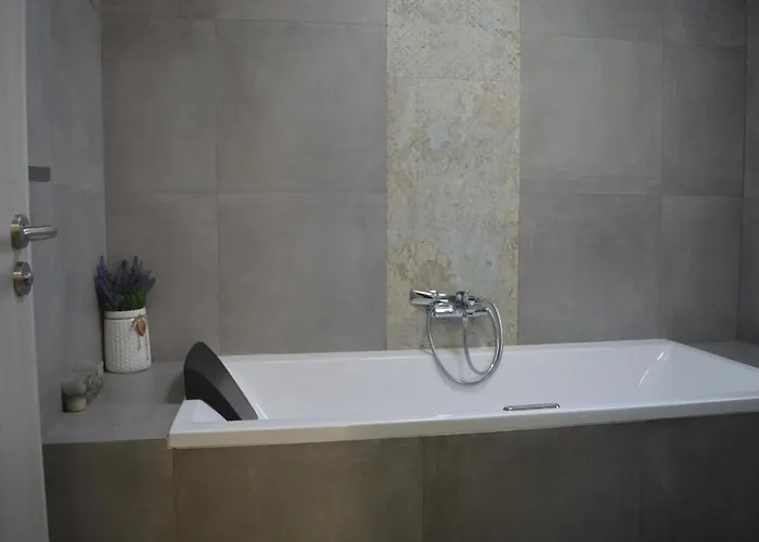 Appartement Olsovska *