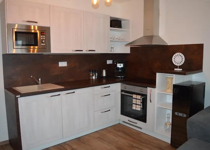 Olsovska Appartement Bzenec